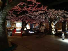 -蓝鲸湾汤泉(包河店)