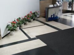 -中国建设银行自助银行(上海杨浦支行)