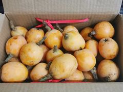 -塘栖枇杷特色园区