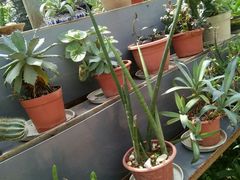 -广东茂名森林公园