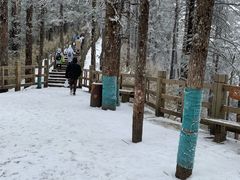 -西岭雪山大飞水景区