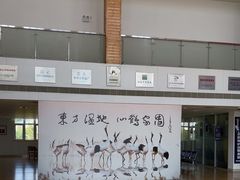 -盐城丹顶鹤湿地生态旅游区