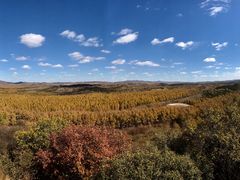 -塞罕坝国家级自然保护区