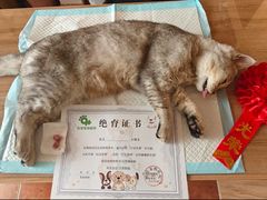 -玖佳宠物医院·泌尿·骨科·中老年病