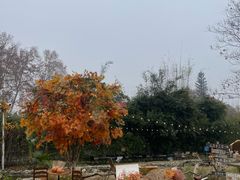 -HERRE·FARM 赫尔露营农场·团建聚会包场