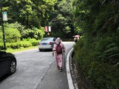 -广州市帽峰山景区