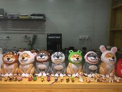 -柴务处·柴犬主题狗咖