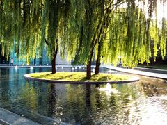 -北京四中(道元校区)