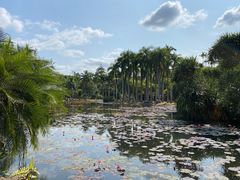 -中国科学院西双版纳热带植物园