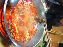 iphone_upload_pic-苗阿哥