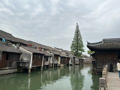 -乌镇东栅景区