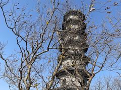 -冶父山国家森林公园