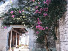 -金谷域澳洲庄园