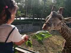 -石家庄市动物园