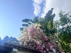 -深圳国际园林花卉博览园