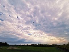 -金谷域澳洲庄园