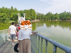 -东湖落雁景区