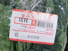 -京北大世界