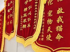 -中农国际动物医院24小时·猫科·骨科·急重症中心