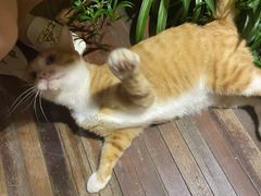 -渔太泰漓江小馆·广西融合菜(西街店)