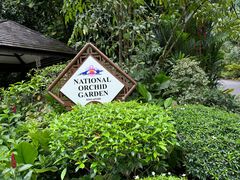 -新加坡植物园
