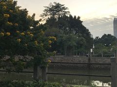 -晓港公园