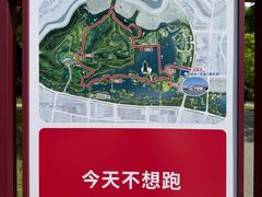 -洋湖国家湿地公园