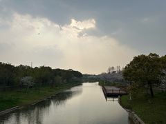 -上海海湾国家森林公园