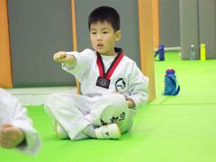 -武术世家少儿培训中心(首都体育学院店)