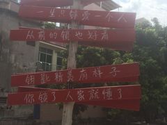 -小洲村