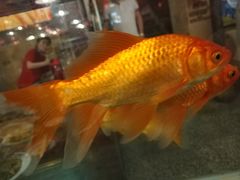 -粗粮人家(簋街店)
