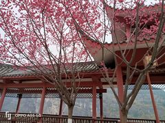 -乌江画廊(彭水苗族土家族自治县)
