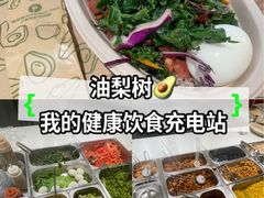 -油梨树 AVOCADO TREE(亮马桥店)