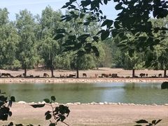 -北京麋鹿生态实验中心