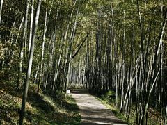 -采石矶景区