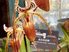 -中国科学院华南植物园