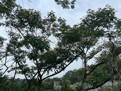 -老龙头景区