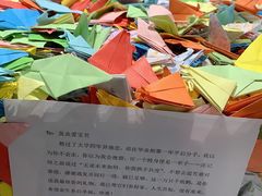 -上海失恋博物馆