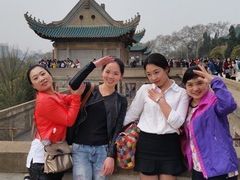 -武汉大学-樱园