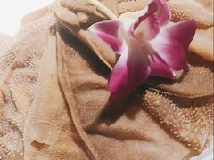 新西兰进口毛肚-川西坝子(老军营店)