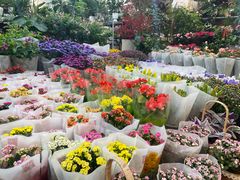 -双季花艺园艺市场(浦东店)