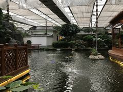 -汤山翠谷生态餐厅