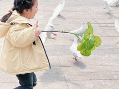-成都欢乐谷