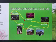 -莫尔道嘎国家森林公园