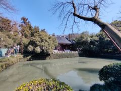 -岳王庙