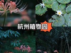 -杭州植物园