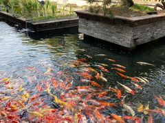 景观位-香山家宴