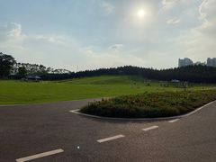 -迪茵湖田家舍生态农场