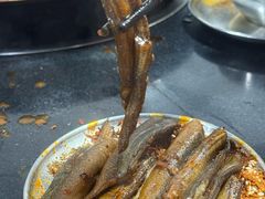 -铜元老码头鳝鱼火锅