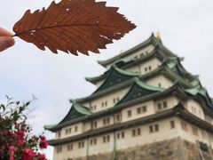 -名古屋城